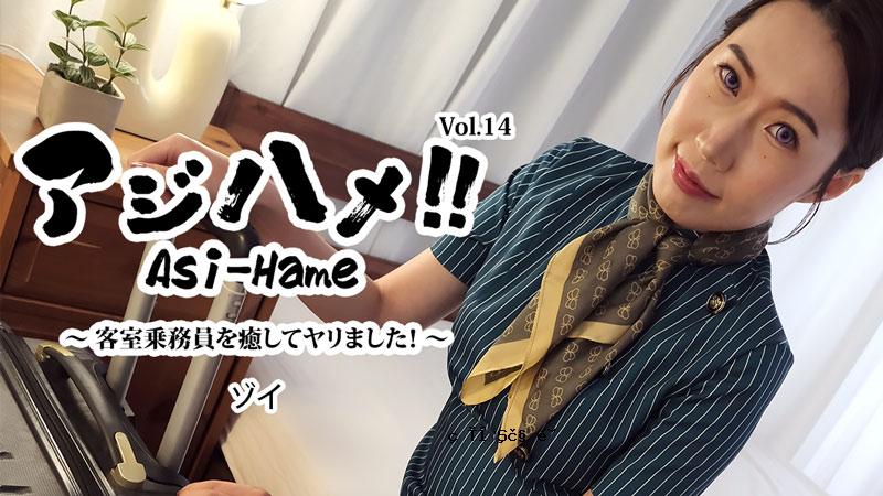 HEYZO 3595 阿吉哈梅！ ！ Vol.14 ~ 我治愈了空姐并操了她！ ～ – 佐伊