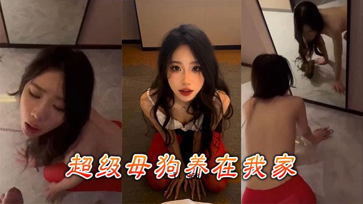 我家的超绿狗妈妈
