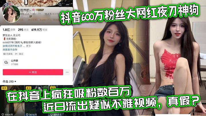 六百万粉，大黑红夜剑，神犬，小姐姐，借用自制的外表，养眼，略带划痕的作品，几百万粉的狂粉，近期被泄露，伪丑视觉效果。