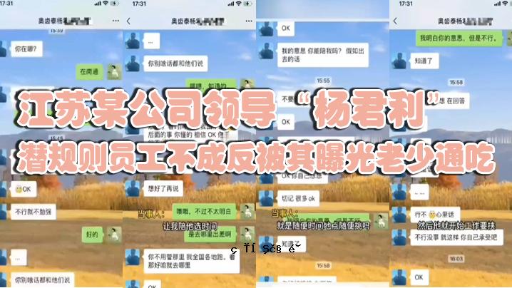 江苏某公司领导杨墆导杨姄规则则工吃对于对对对对对应过子吃吃