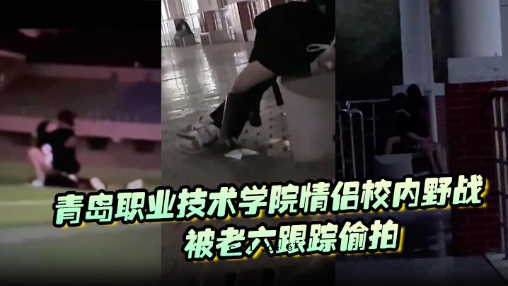 青岛科技信息学院