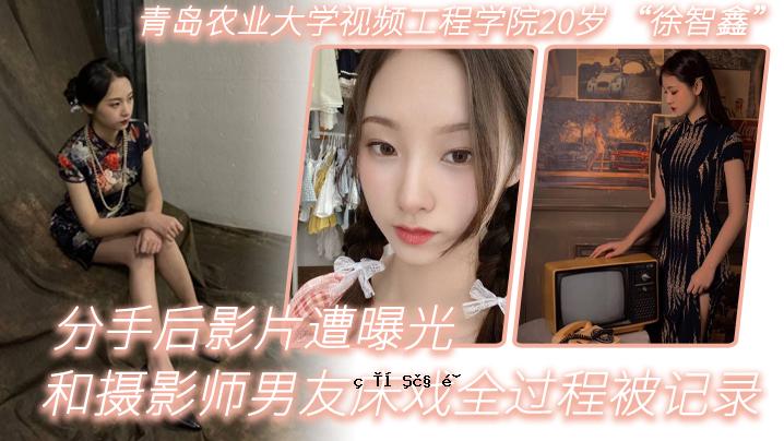 青岛农业大学视觉工程学院20连