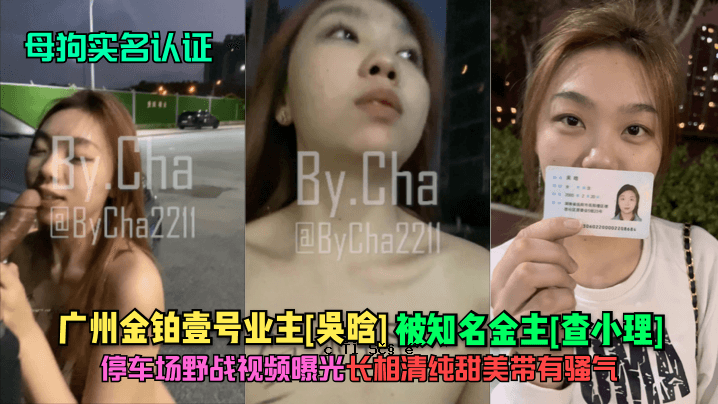 狗妈妈的名字与广州金铁碗主人的名字相符。