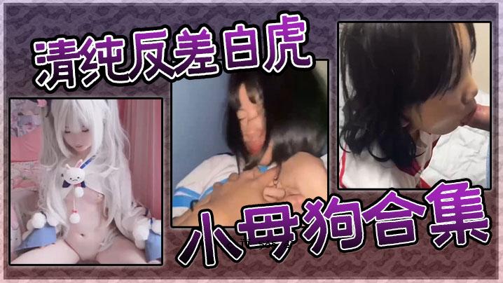 纯种白虎和小母狗合集