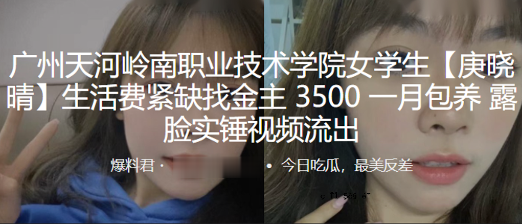 广州天禾岭南.学院科技.学院.学生生活.付款35.00一月.套餐说明.定期结账.泄露